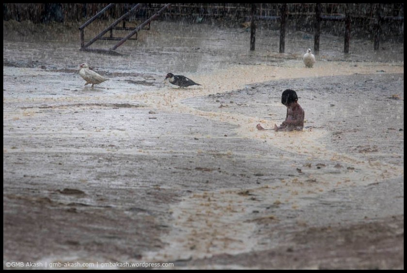 Rohingya refugees (2)