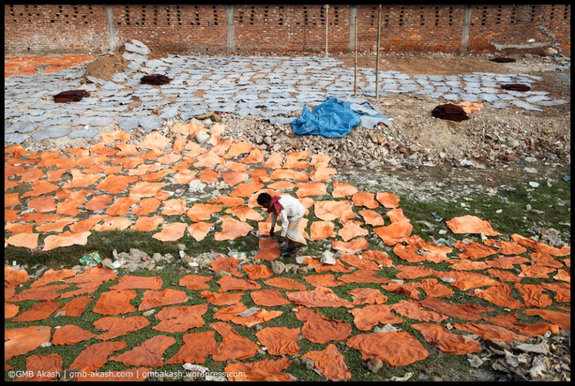 Tenary in Dhaka (123)_1