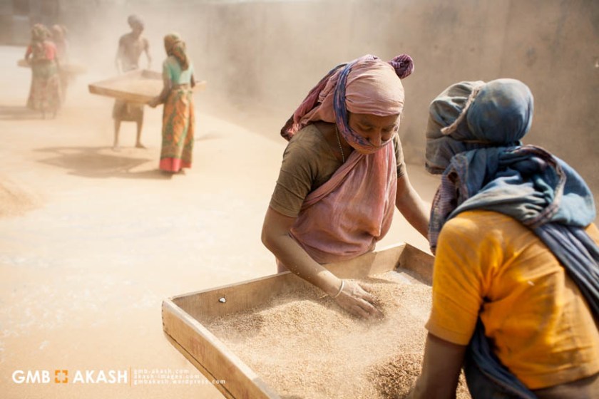 Tobaco fgactory (144)