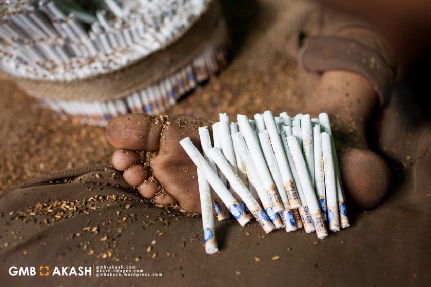 Tobaco fgactory (23)