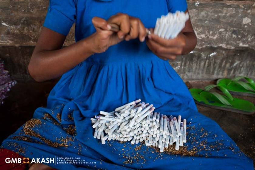 Tobaco fgactory (85)