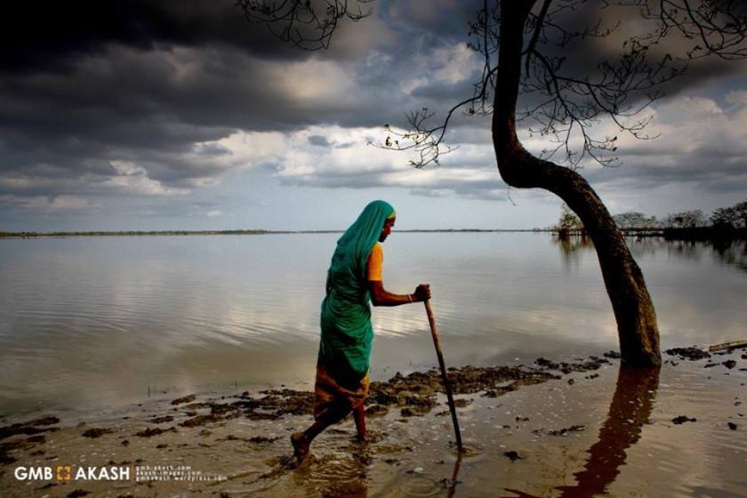 12985365_1075708452493908_8464151733132080021_n