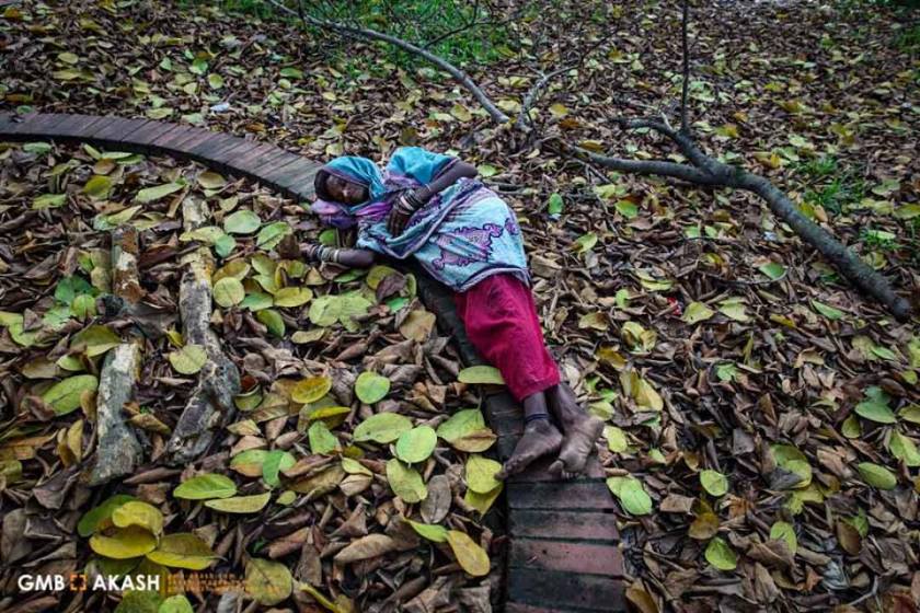 13138955_10154263175477845_8865458988981267294_n