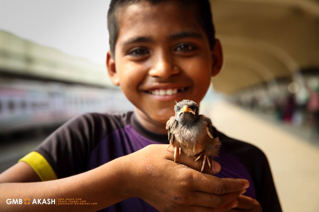 15122925_1238794126185339_482927360543218297_o