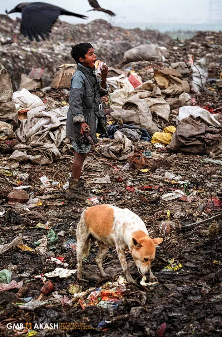 980766_1049784025086351_657577271220529673_o