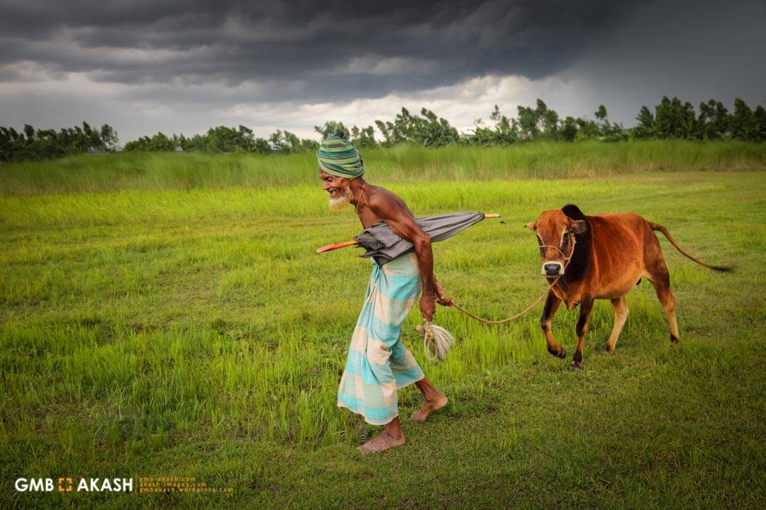 17038677_1353505521380865_8574807134777814233_o