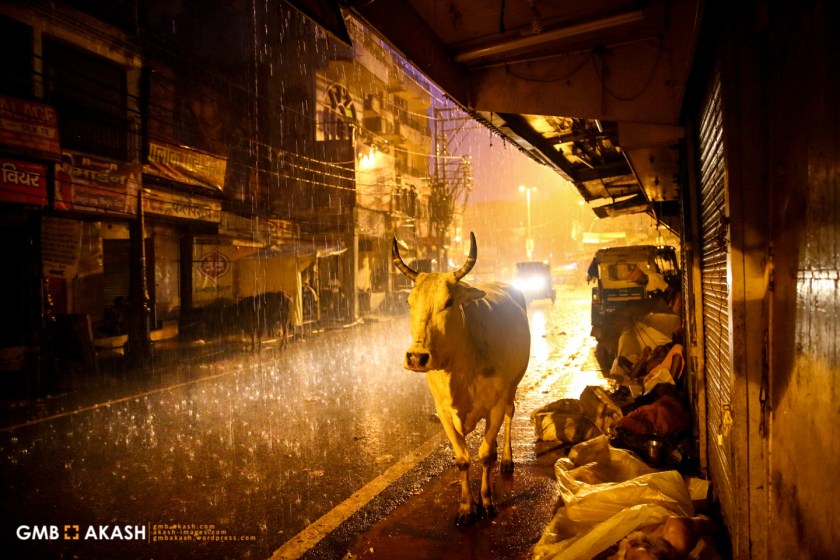 Akash index page (7)