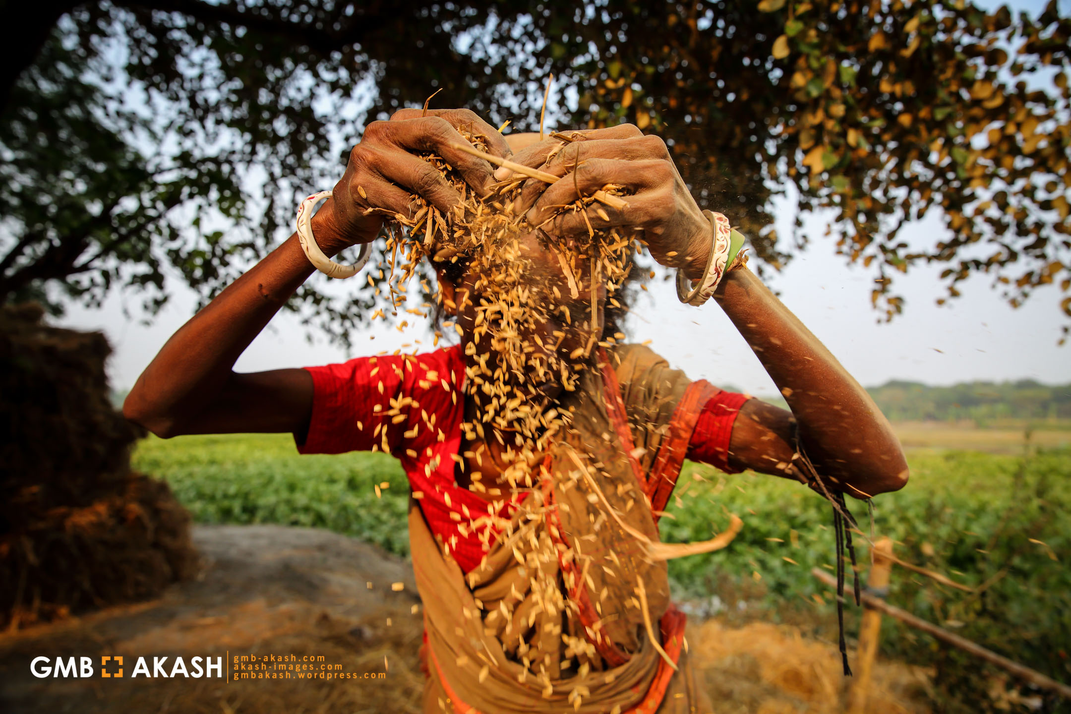 Women by GMB Akash (14).jpg