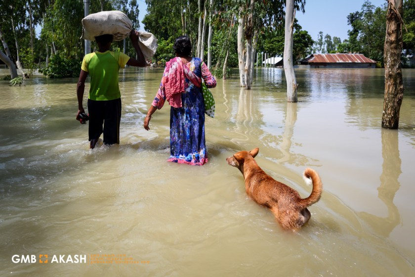 Flood Bangladesh 2019 (100).jpg