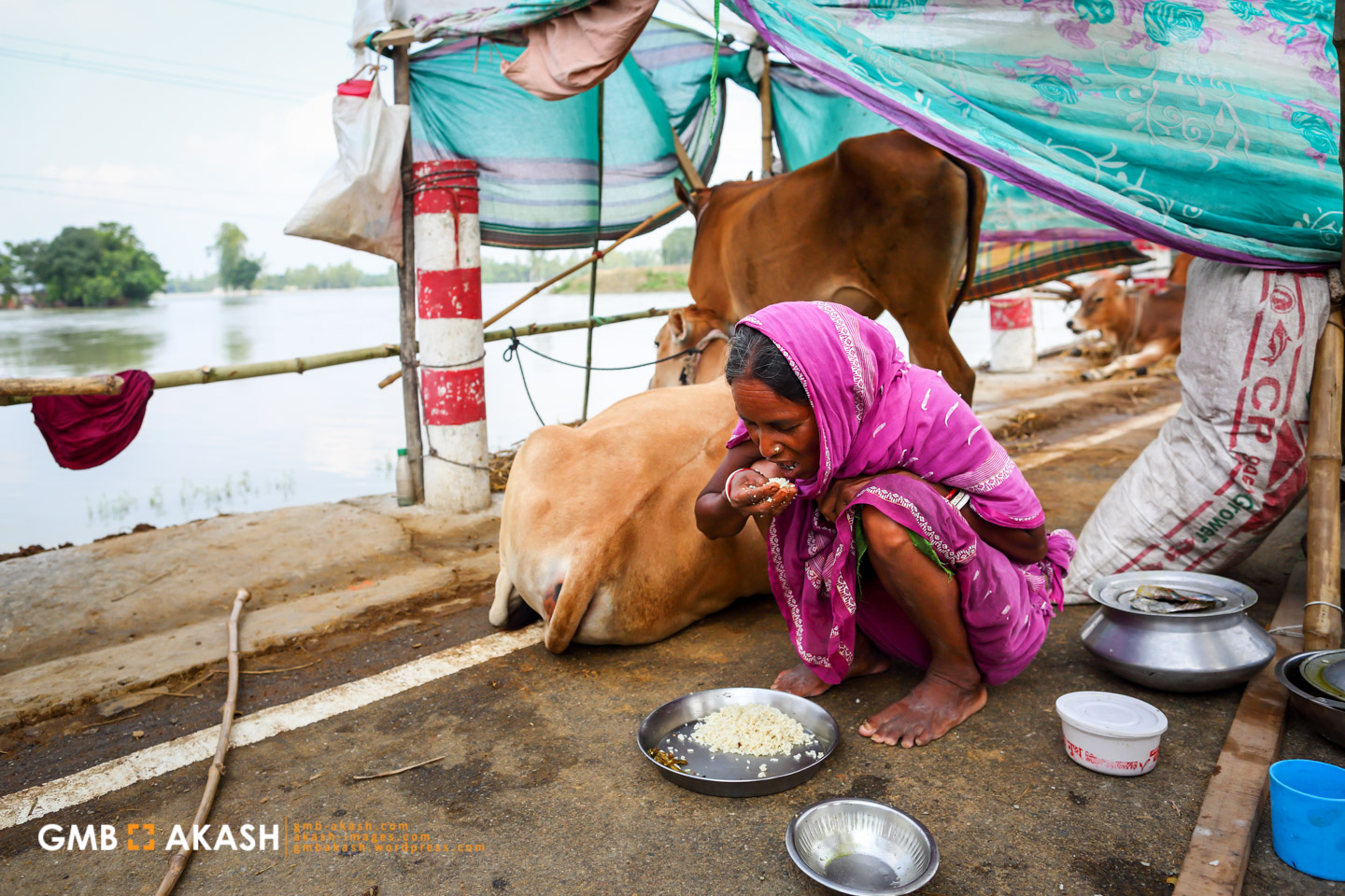 Flood Bangladesh 2019 (170).jpg