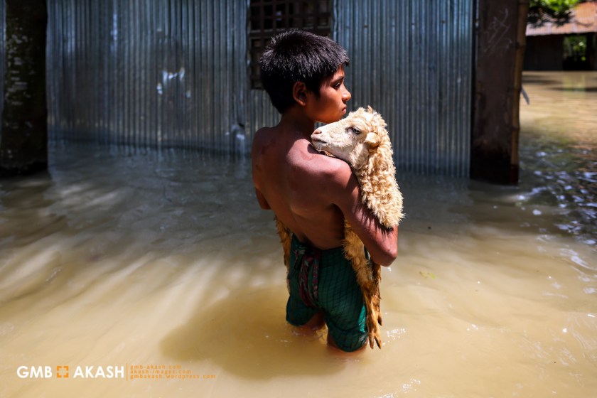 Flood Bangladesh 2019 (98).jpg