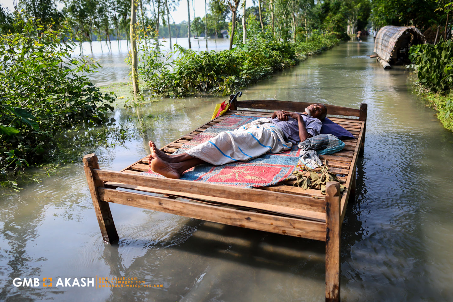 more new4C0A4167.jpg