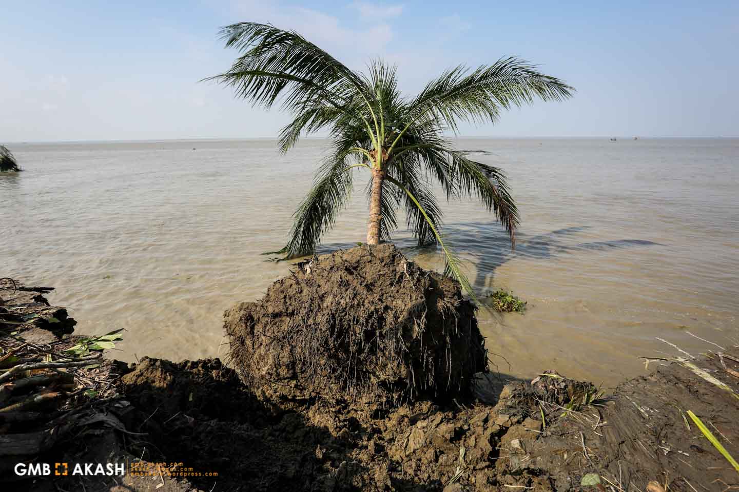 Climate Change in Bangladesh (29)